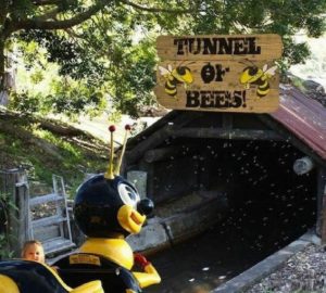 tunnel of bees.jpeg