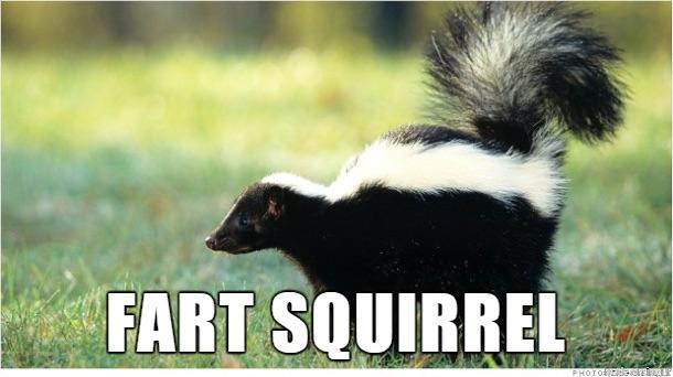 fart squirrel.jpg