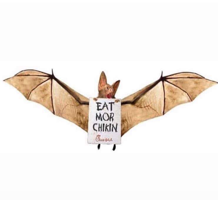 bat eat mor chikin.jpg