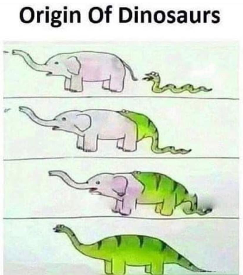origin of dinosaurs.jpg