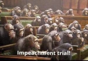 impeachment trial chimps.jpg