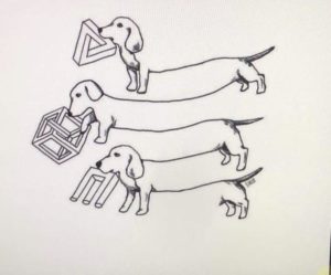 dachshund optical illusion.jpeg
