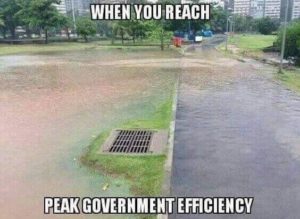government efficiency.jpeg