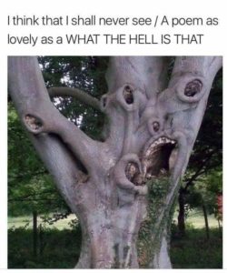 scary tree.jpeg