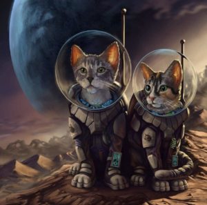 space cats.jpeg