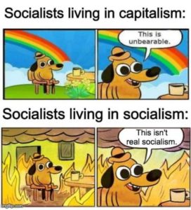 socialists under capitalism and socialism.jpeg