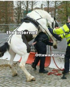 internet vs. ottowa police.jpeg