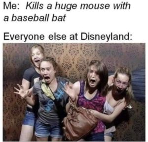 kill huge mouse at disneyland.jpeg