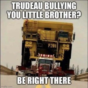 trudeau bullying you little brother?.jpeg