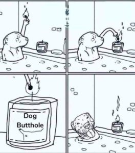 dog butthole candle.jpeg