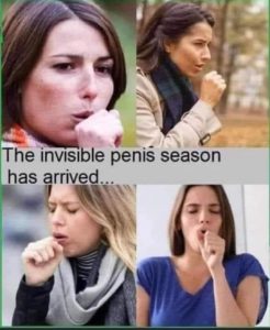 invisible penis season.jpeg
