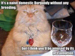 its-a-naive-domestic-burgundy-wi-1